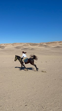 HORSEBACK RIDING IN HURGHADA (1 HOUR $ 15, 2 HOURS $22)